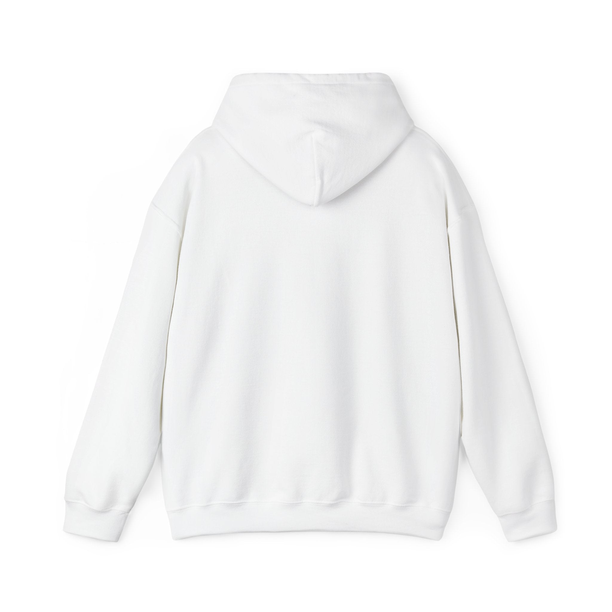 Flaming Phoenix Illustration Hoodie | Latin Valentino Merch