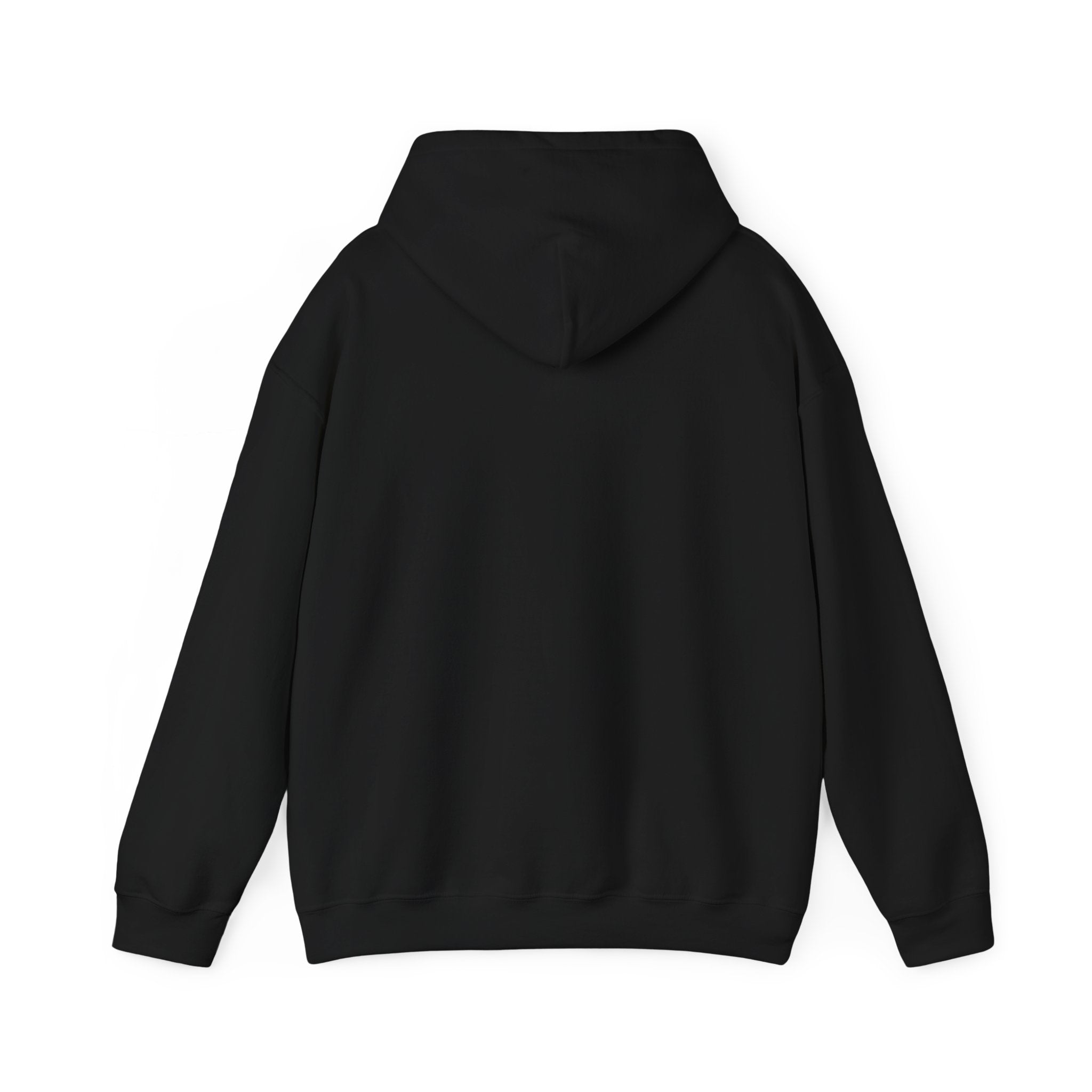 Flaming Phoenix Illustration Hoodie | Latin Valentino Merch
