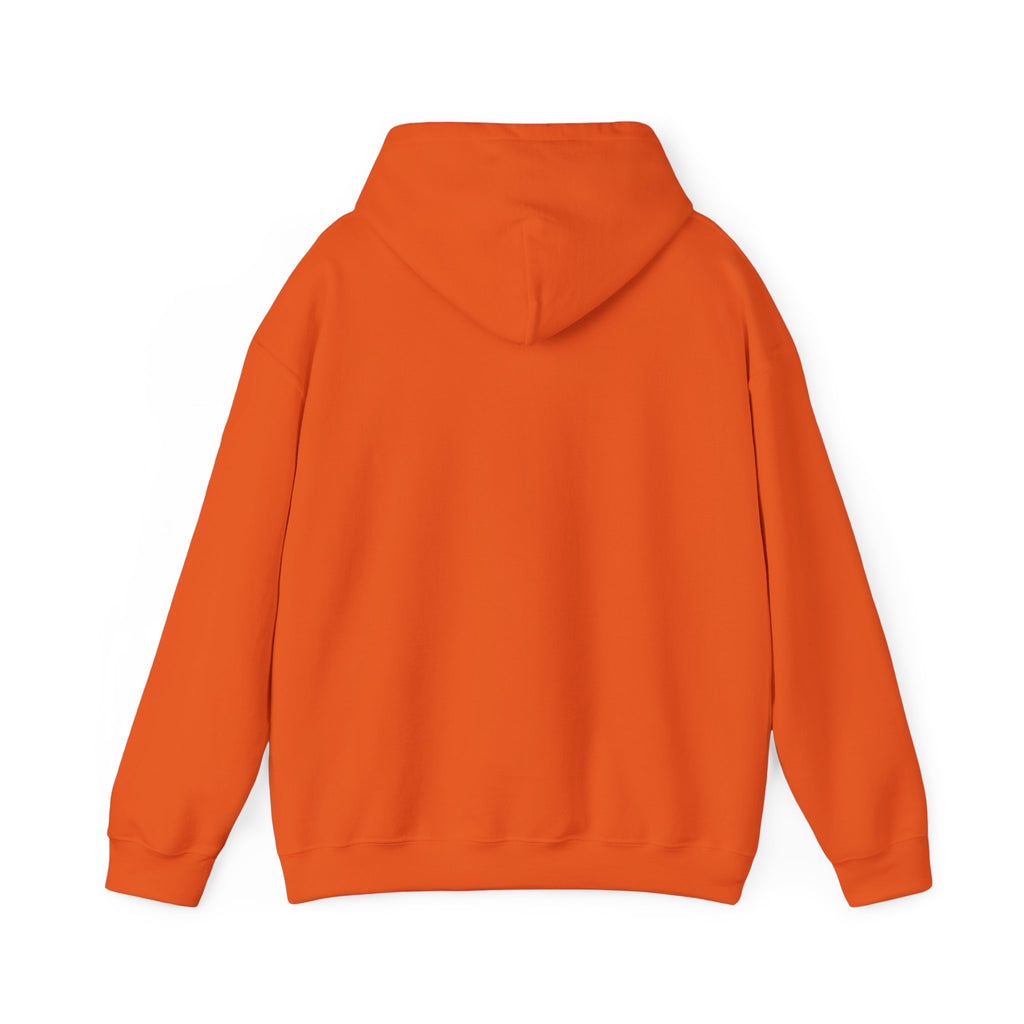 Flaming Phoenix Illustration Hoodie | Latin Valentino Merch