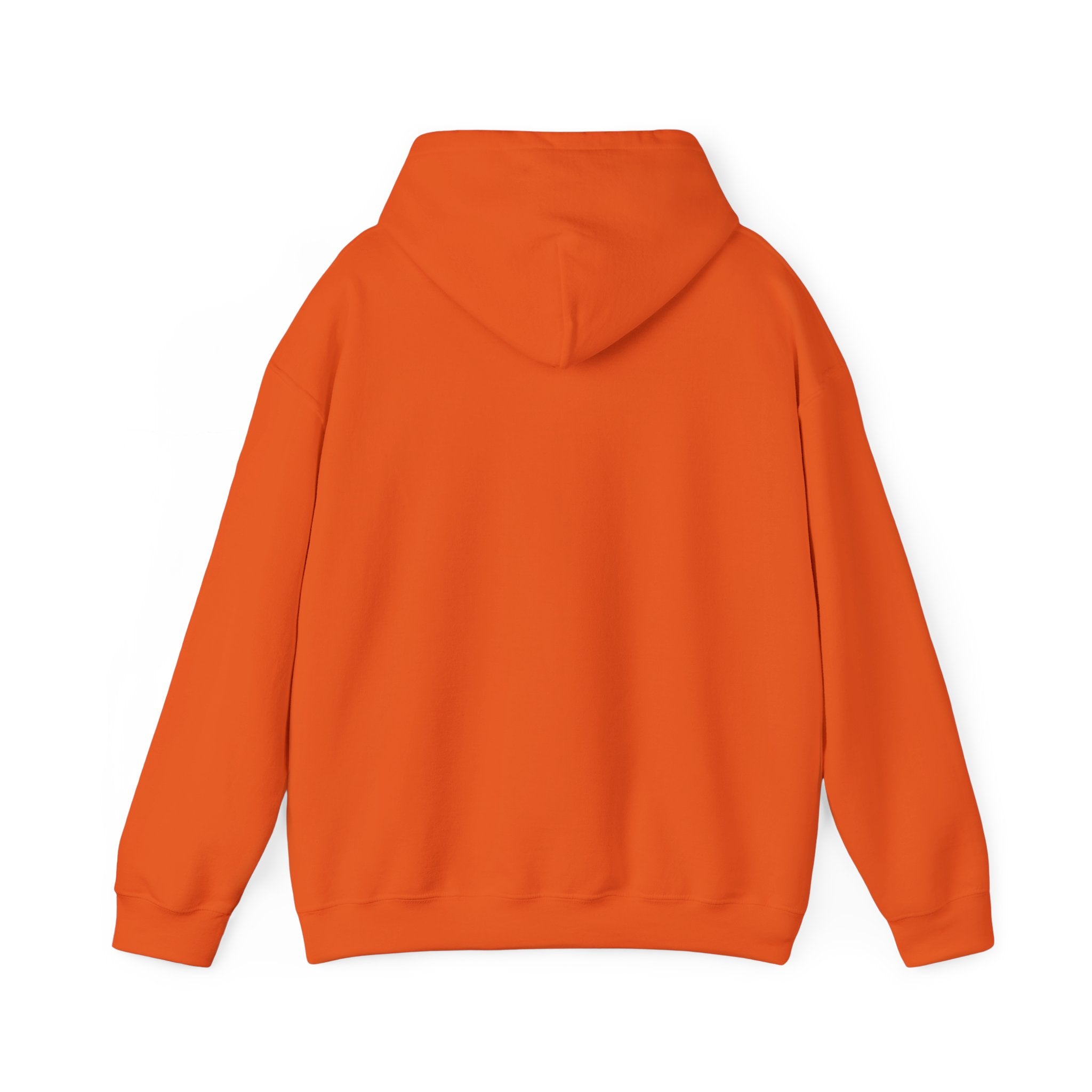 Flaming Phoenix Illustration Hoodie | Latin Valentino Merch