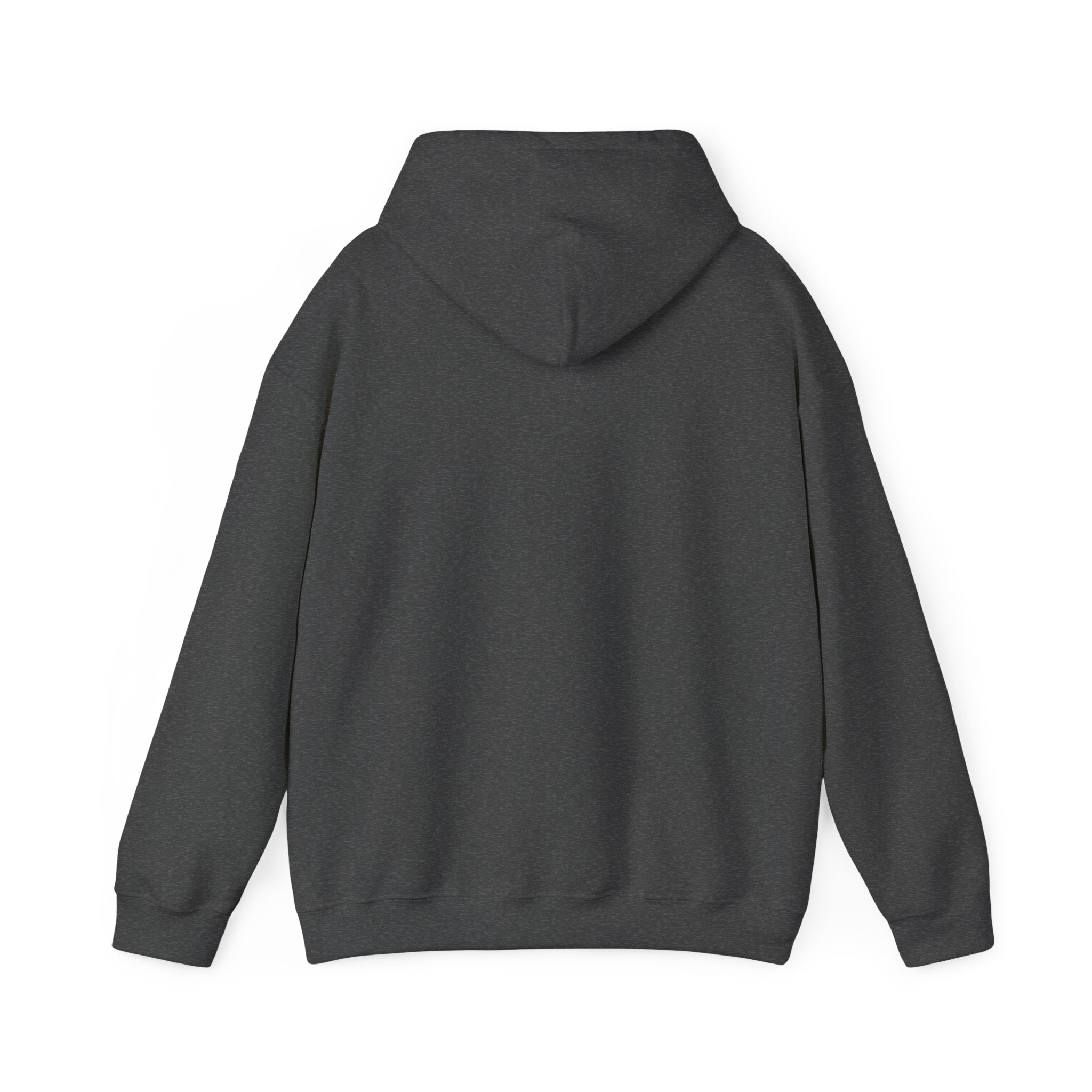 Flaming Phoenix Illustration Hoodie | Latin Valentino Merch