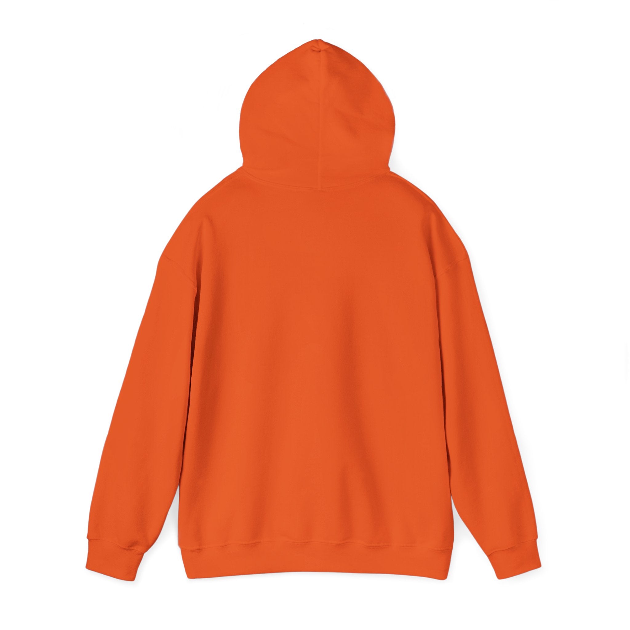 Flaming Phoenix Illustration Hoodie | Latin Valentino Merch