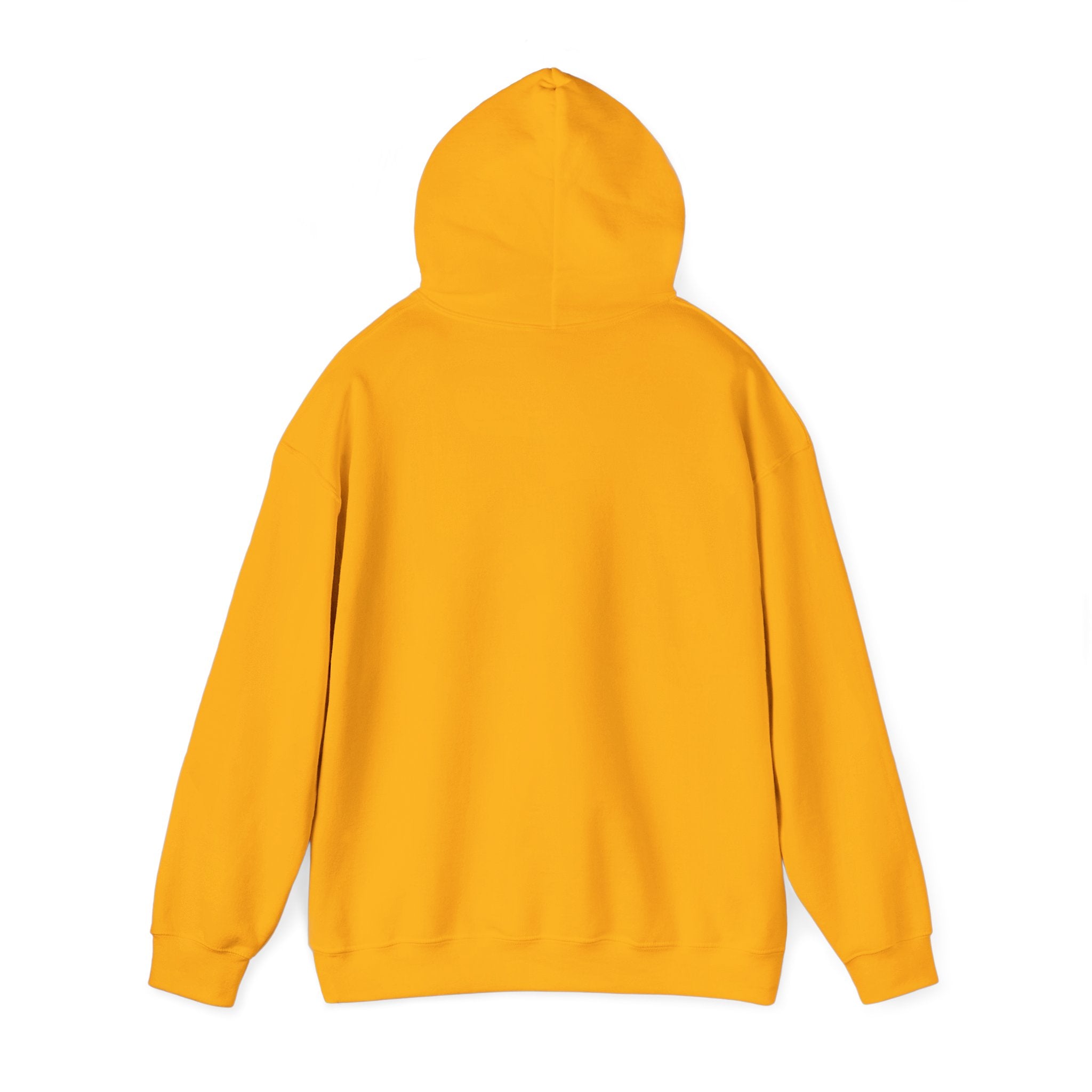 Flaming Phoenix Illustration Hoodie | Latin Valentino Merch
