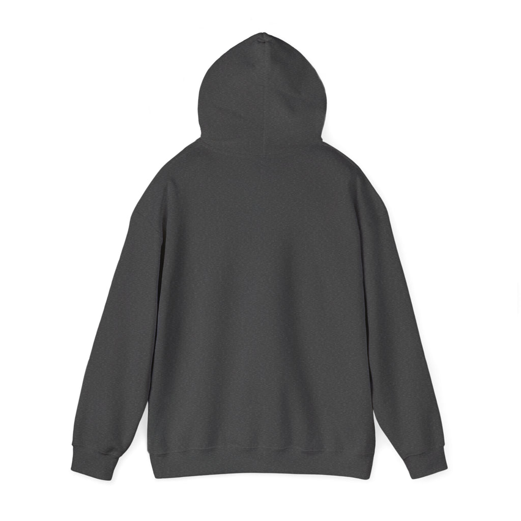 Flaming Phoenix Illustration Hoodie | Latin Valentino Merch