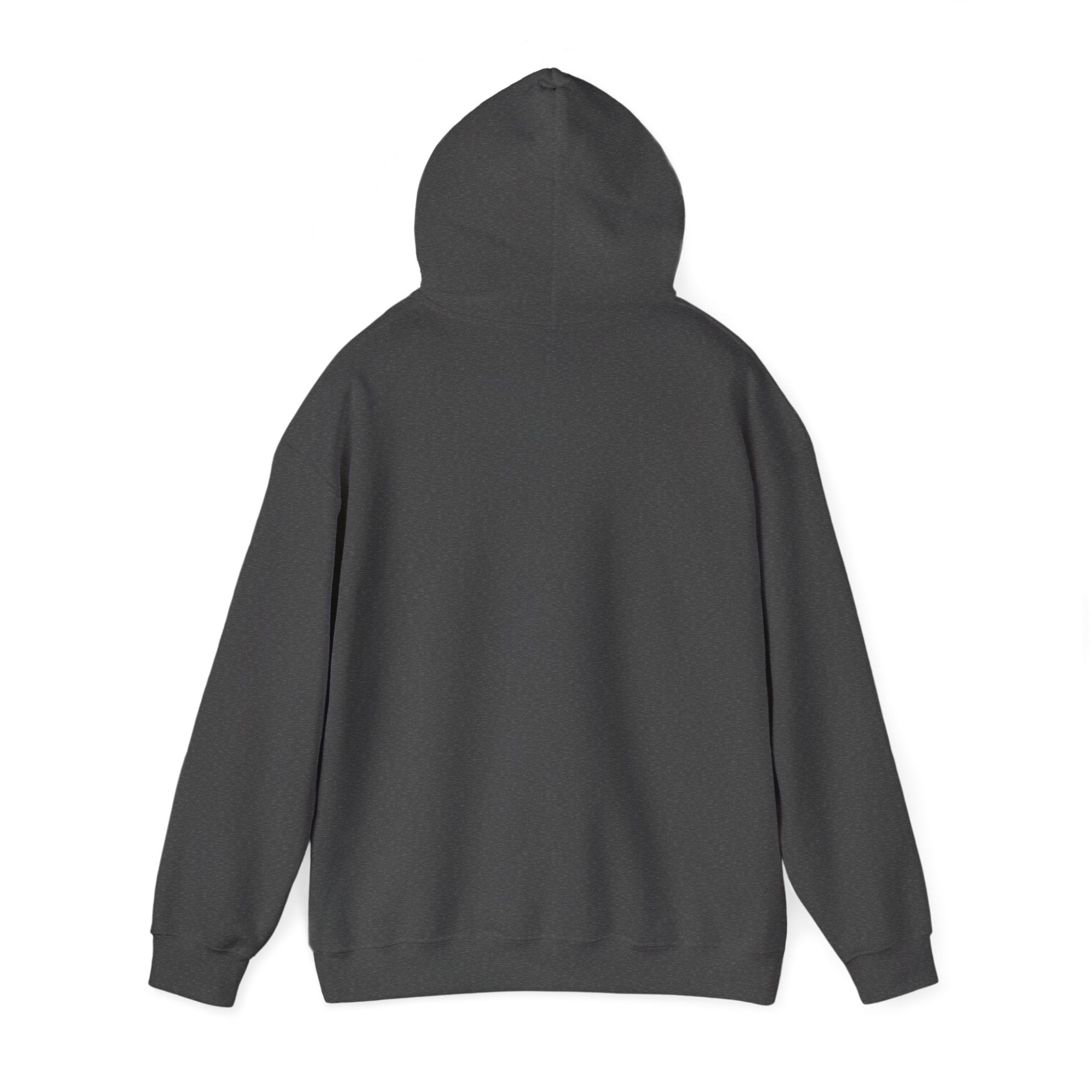 Flaming Phoenix Illustration Hoodie | Latin Valentino Merch