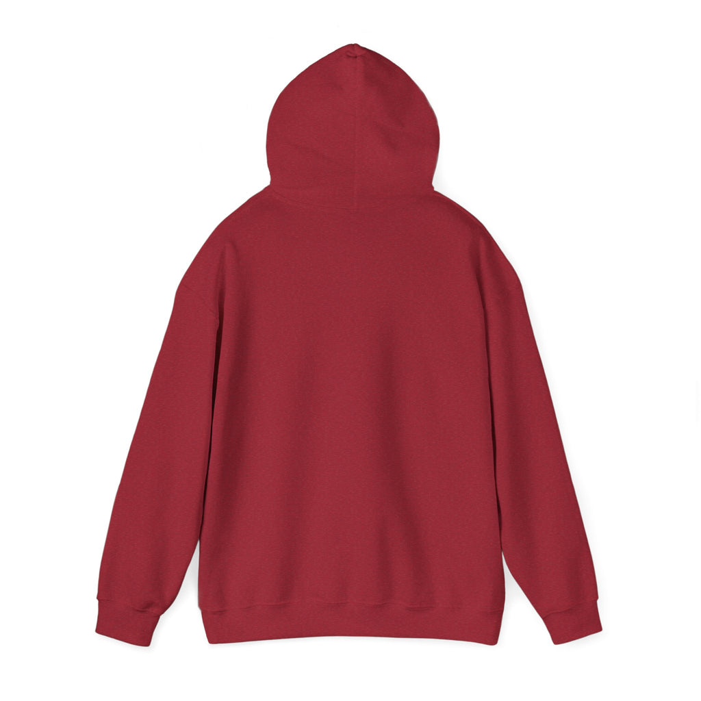 Flaming Phoenix Illustration Hoodie | Latin Valentino Merch