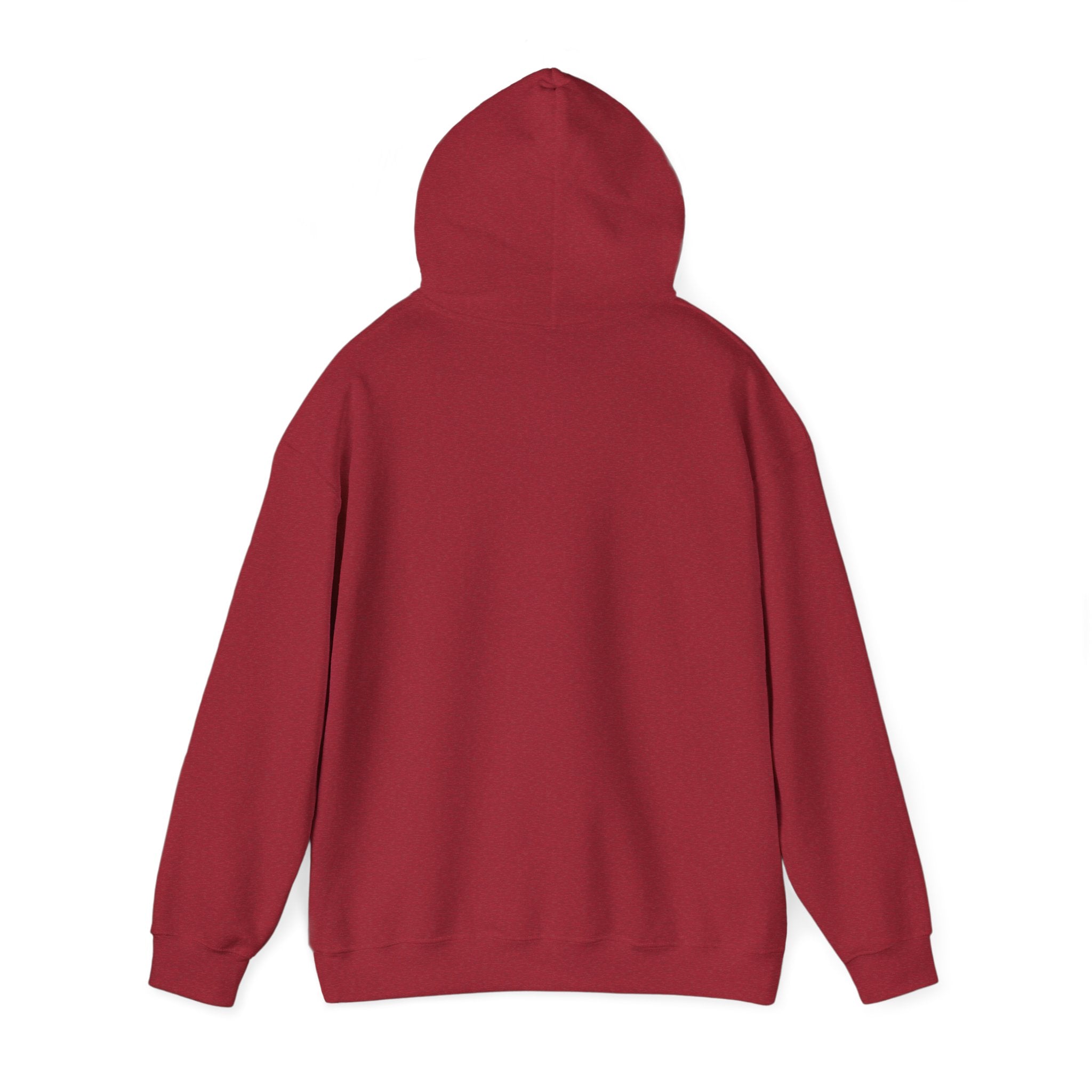 Flaming Phoenix Illustration Hoodie | Latin Valentino Merch