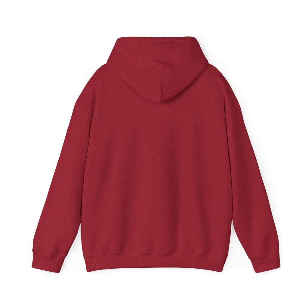 Flaming Phoenix Illustration Hoodie | Latin Valentino Merch