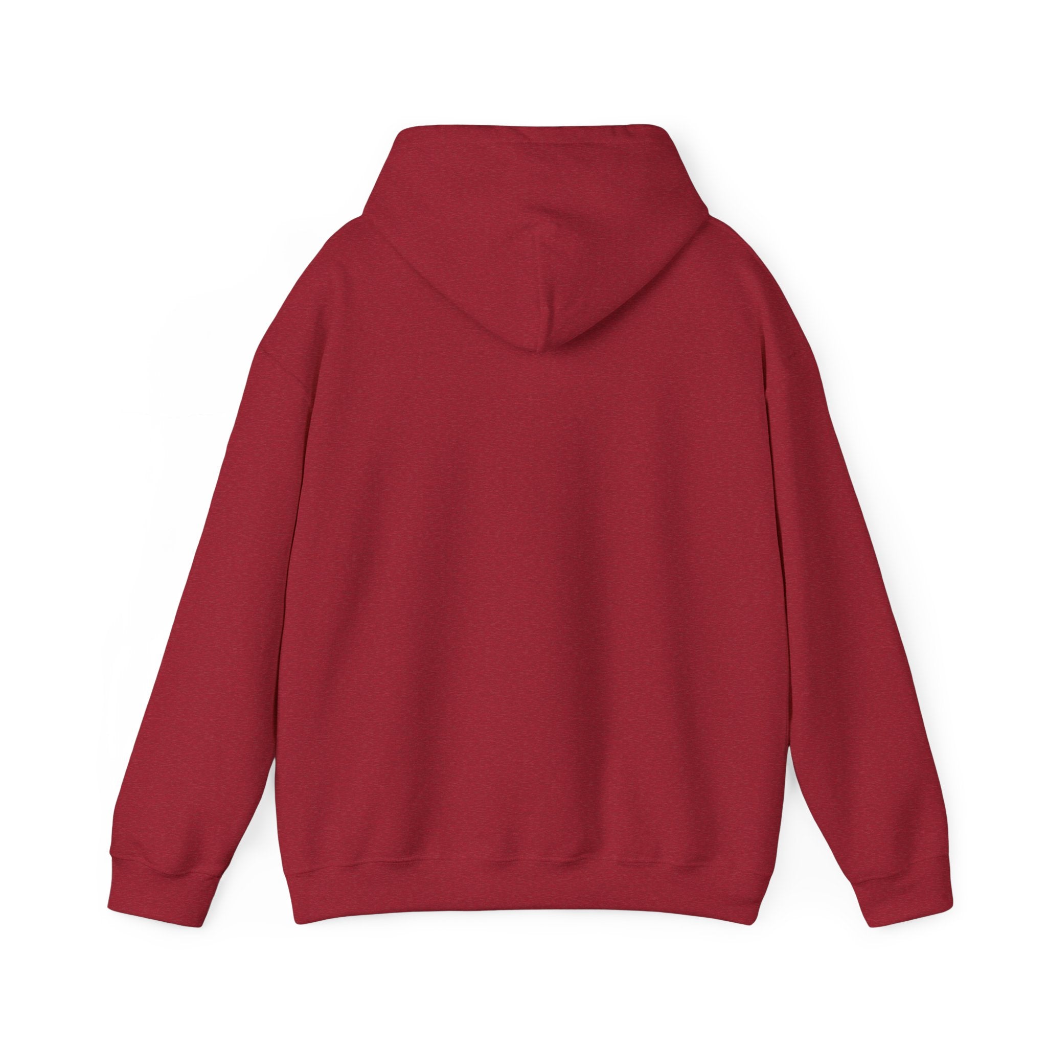 Flaming Phoenix Illustration Hoodie | Latin Valentino Merch