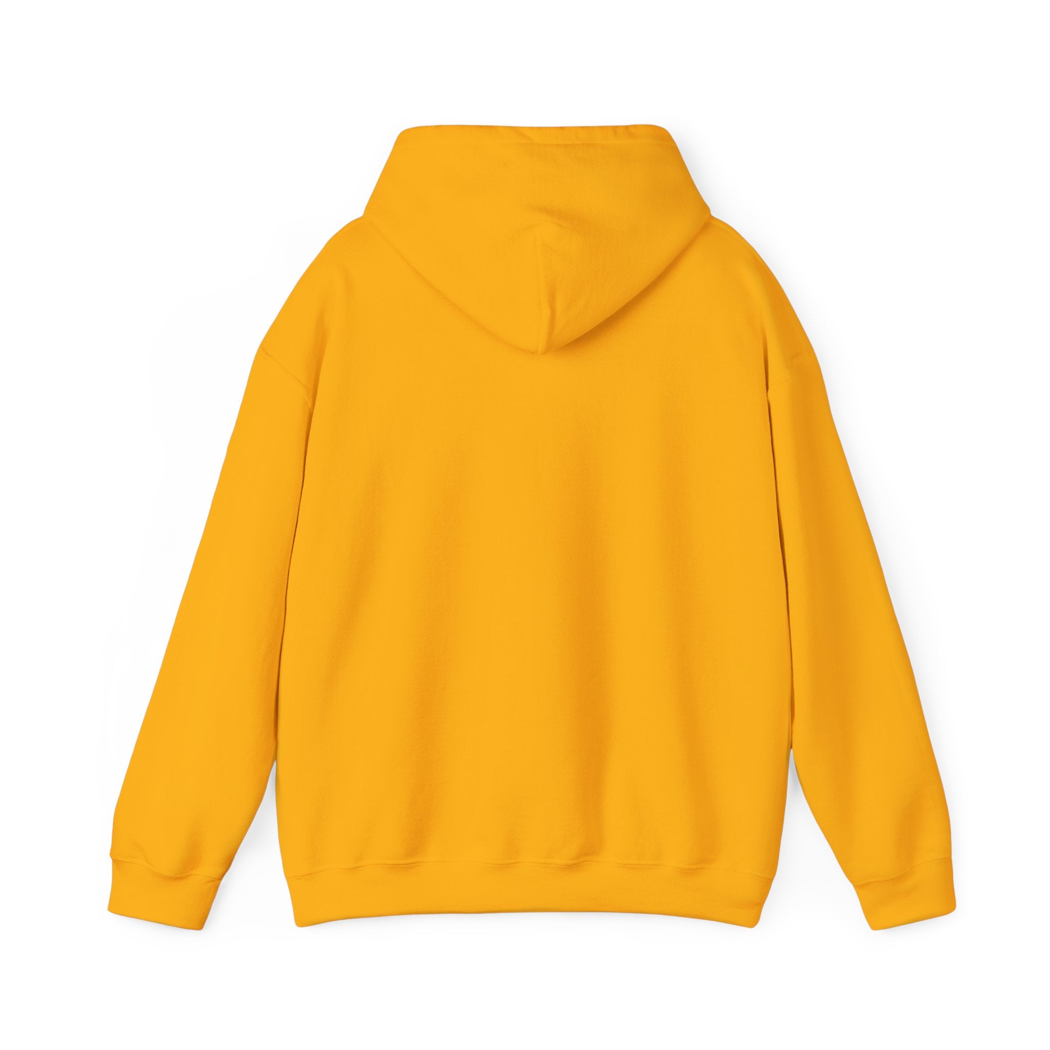 Flaming Phoenix Illustration Hoodie | Latin Valentino Merch