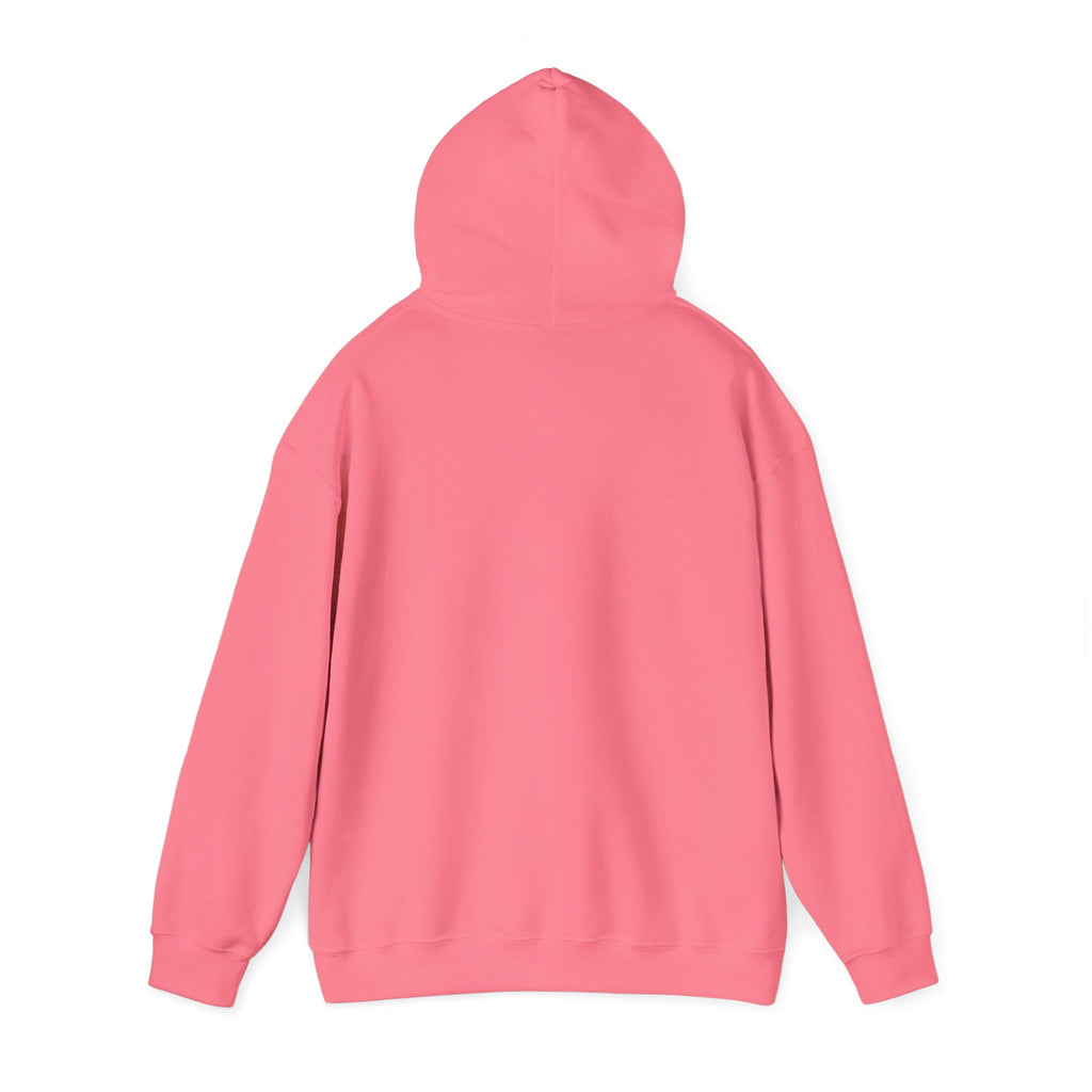 Flaming Phoenix Illustration Hoodie | Latin Valentino Merch