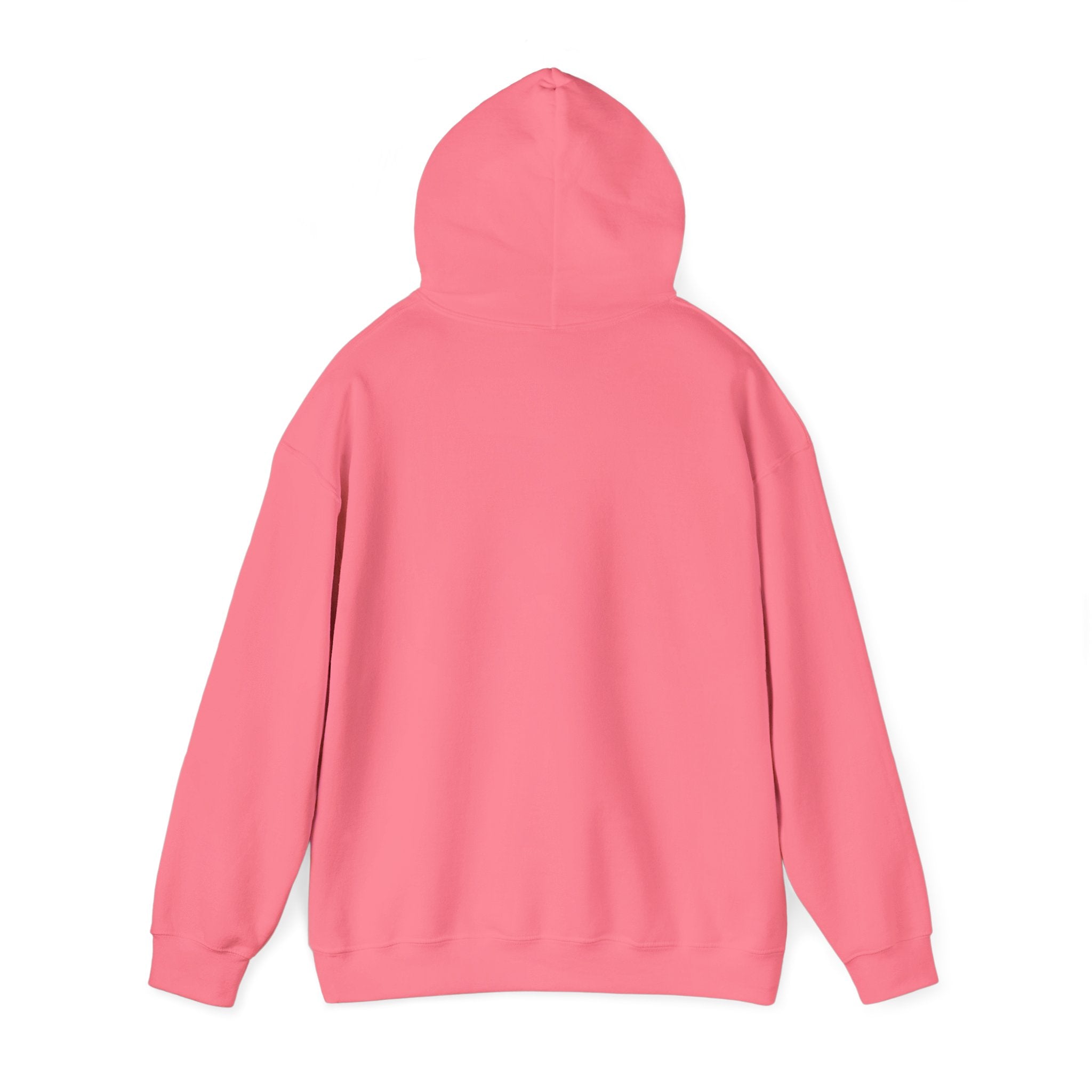 Flaming Phoenix Illustration Hoodie | Latin Valentino Merch