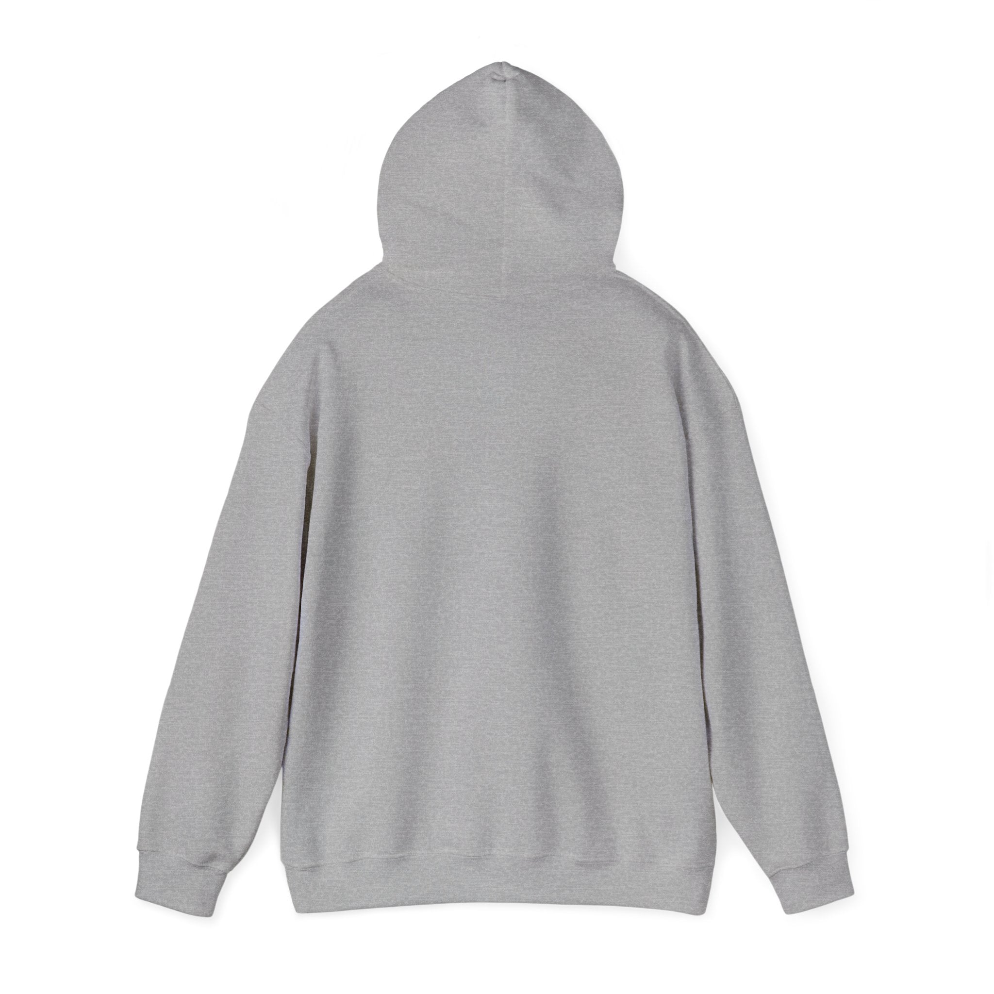 Flaming Phoenix Illustration Hoodie | Latin Valentino Merch