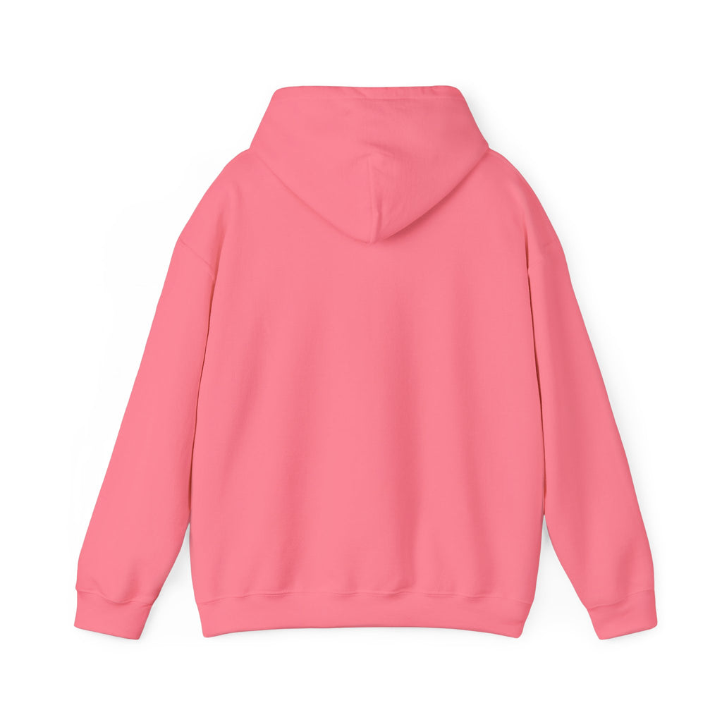 Flaming Phoenix Illustration Hoodie | Latin Valentino Merch